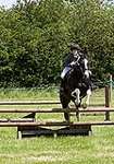 Wanborough Horse and Dog show